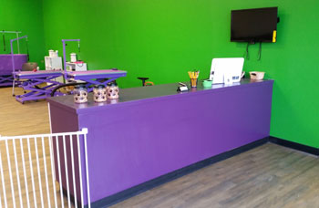 dog grooming front desk